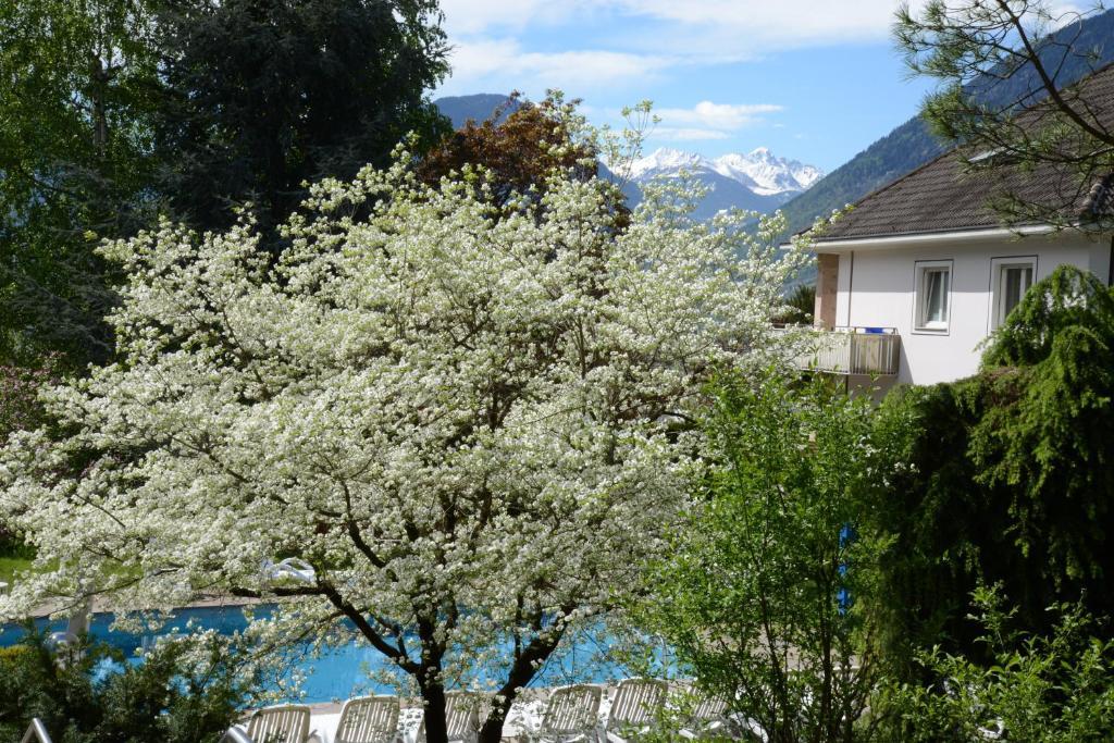 Hotel Tannerhof ميرانو المظهر الخارجي الصورة
